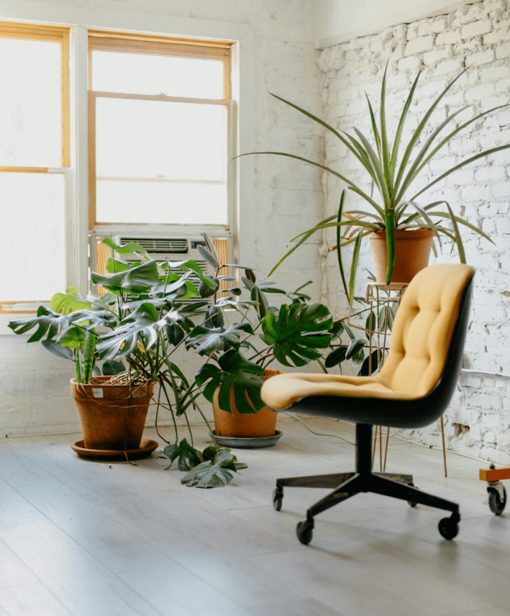 Stock photograph of an office chair with plants.